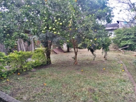 Terreno / Lote São Pedro