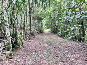 Chácara Barra do Palmital