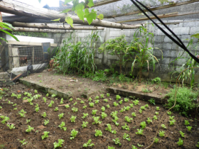 Casa Bairro Vice King